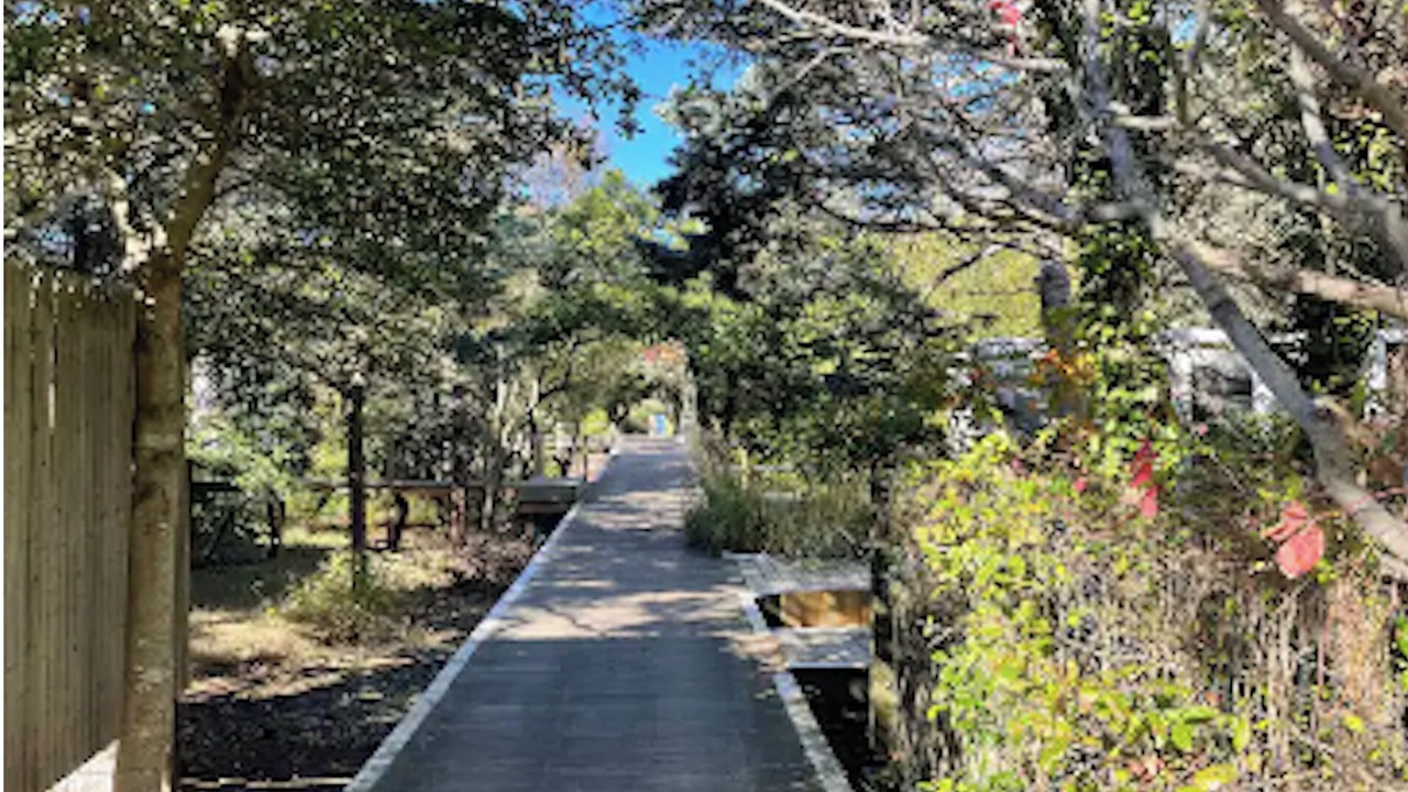 Photo of Others in Cherry Grove