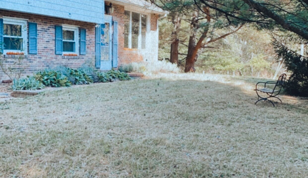 Photo of Others in Baldwin