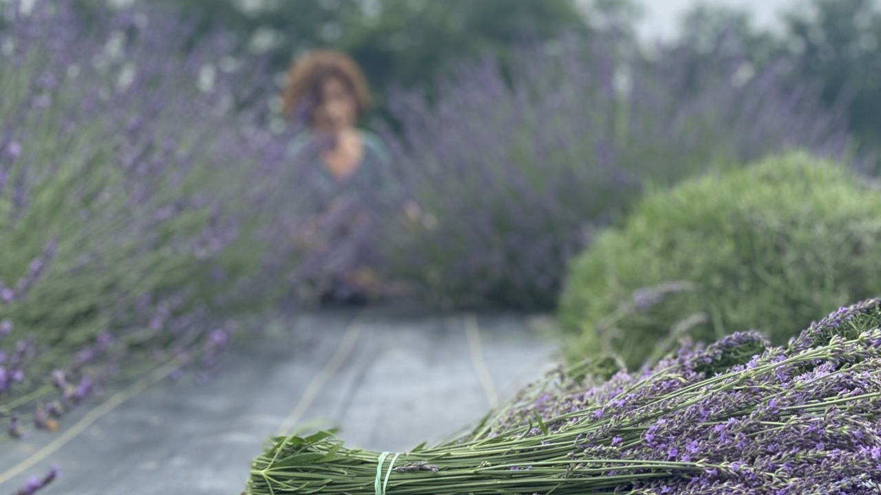 Photo of Others in Baldwin