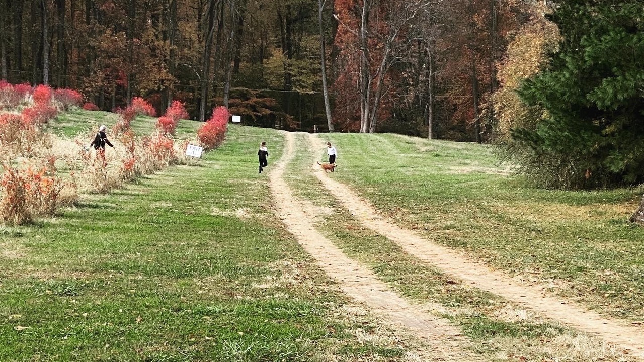 Photo of Others in Baldwin