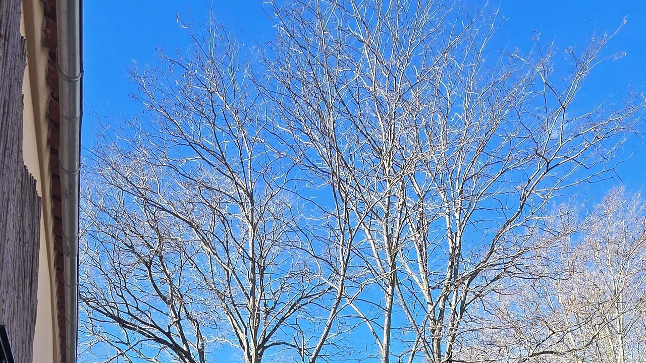 Photo of Patio Balcony in Moyen-Vernet