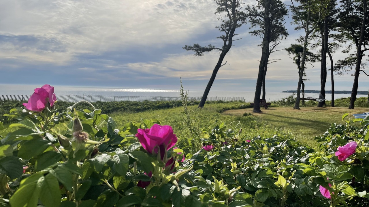 Photo of Outdoor in West Chop