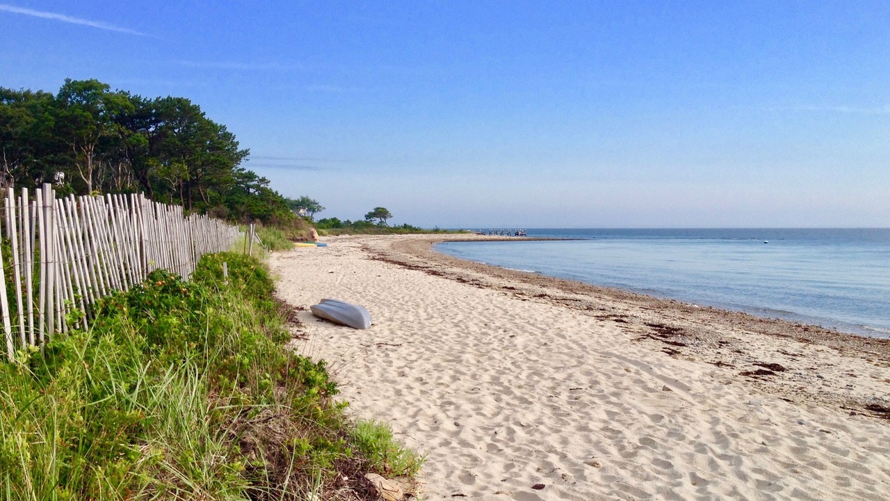 Photo of Others in West Chop