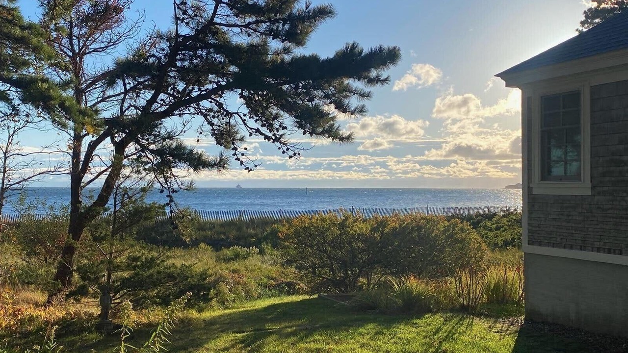 Photo of Others in West Chop