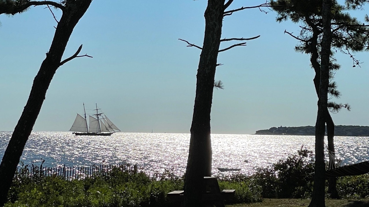 Photo of Others in West Chop