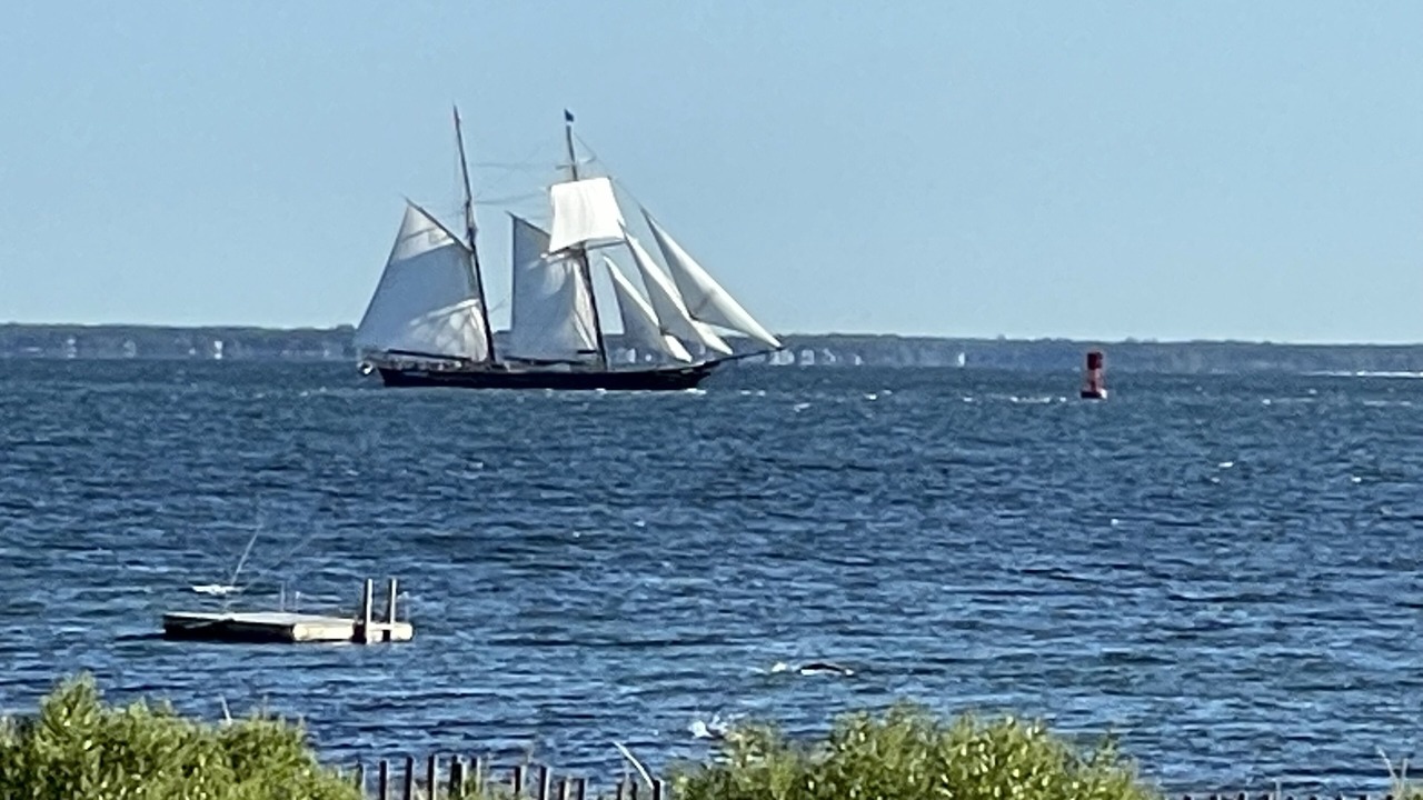 Photo of Others in West Chop