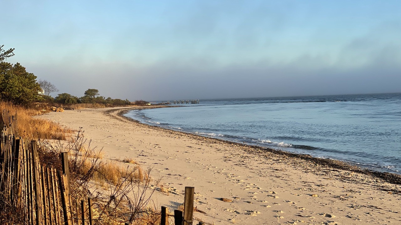 Photo of Others in West Chop