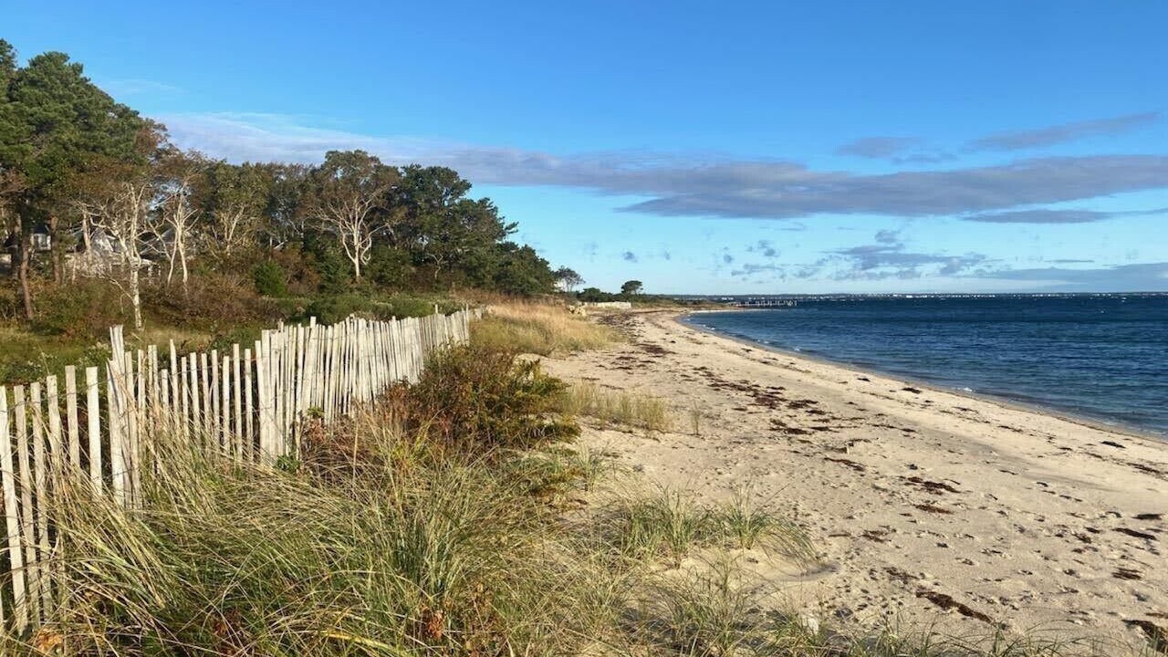 Photo of Others in West Chop