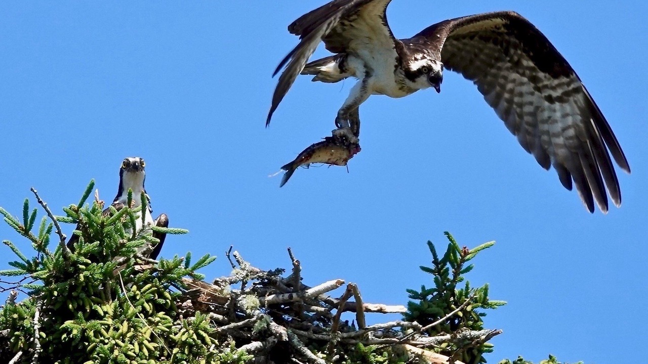 Photo of Others in Friendship