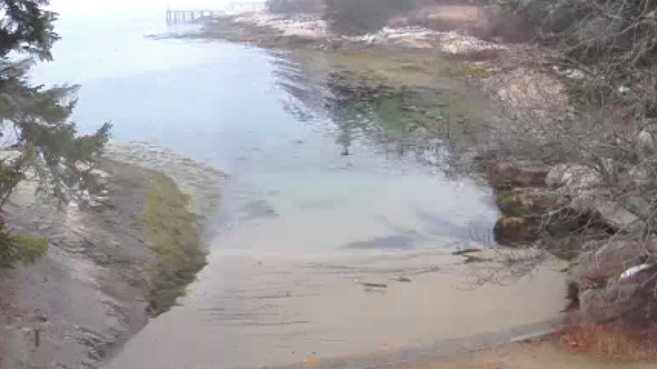 Photo of Others in Friendship