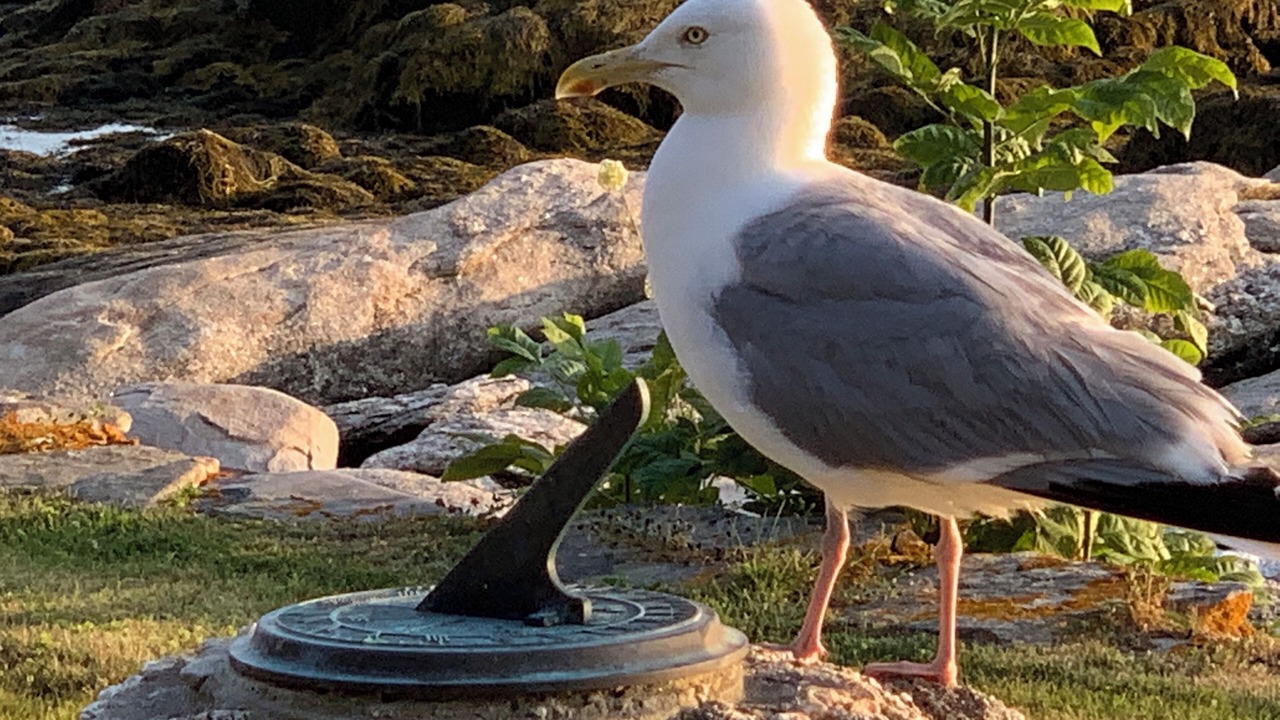 Photo of Others in Friendship