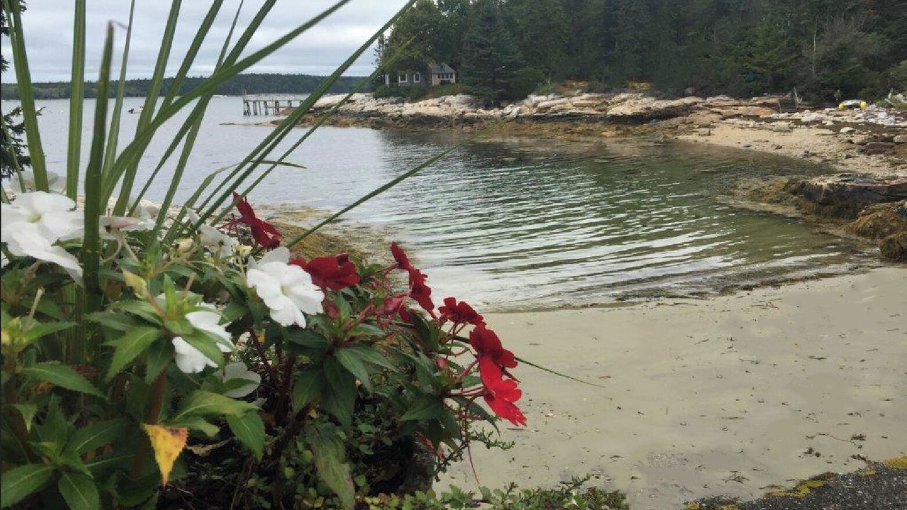 Photo of Others in Friendship