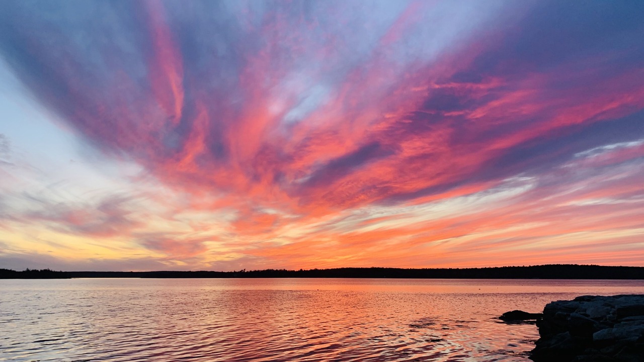 Photo of Others in Friendship