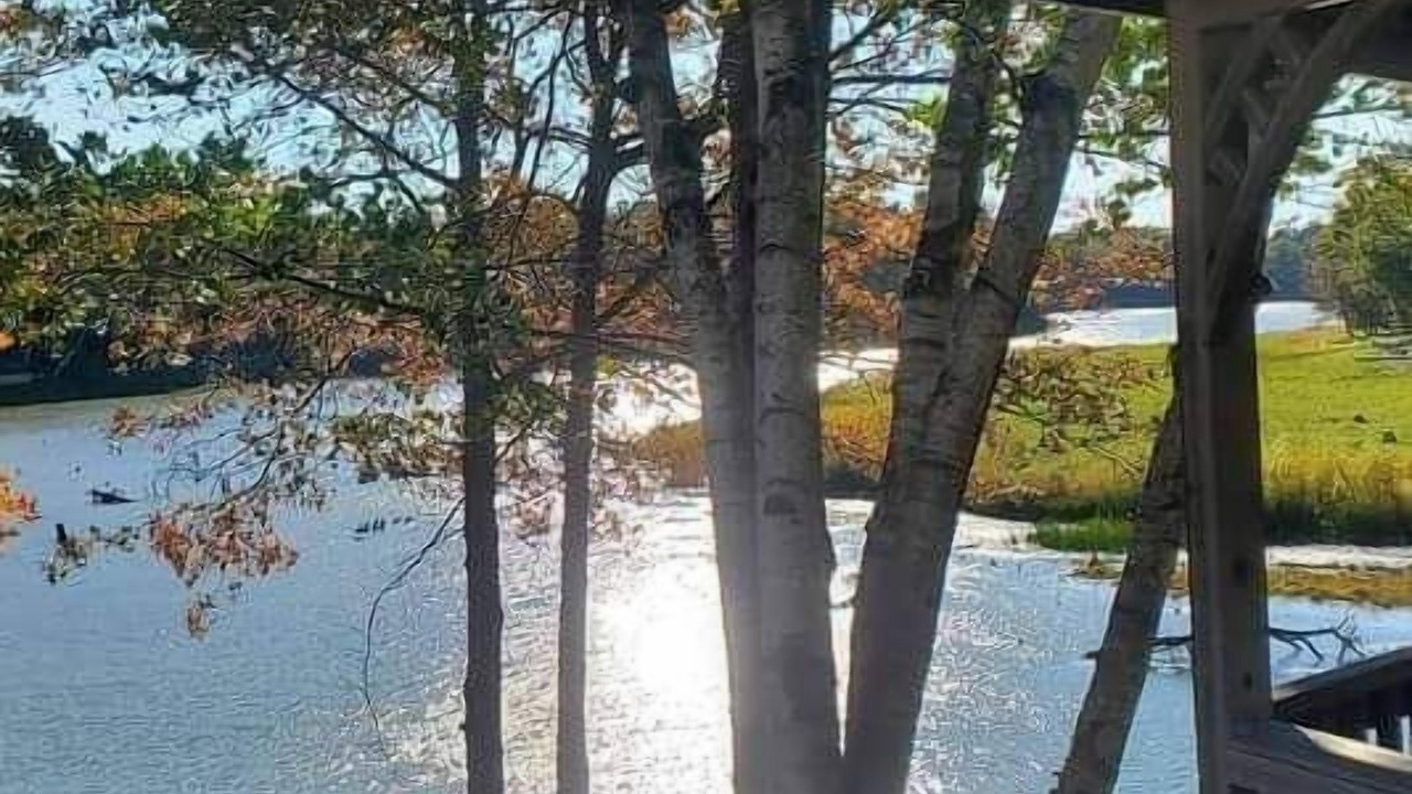 Photo of Others in Gladwin