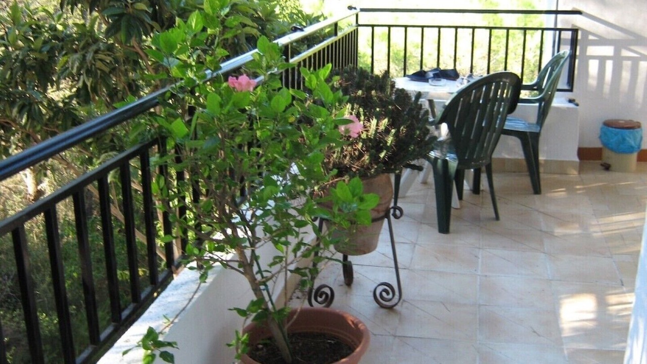 Photo of Patio Balcony in Almisera