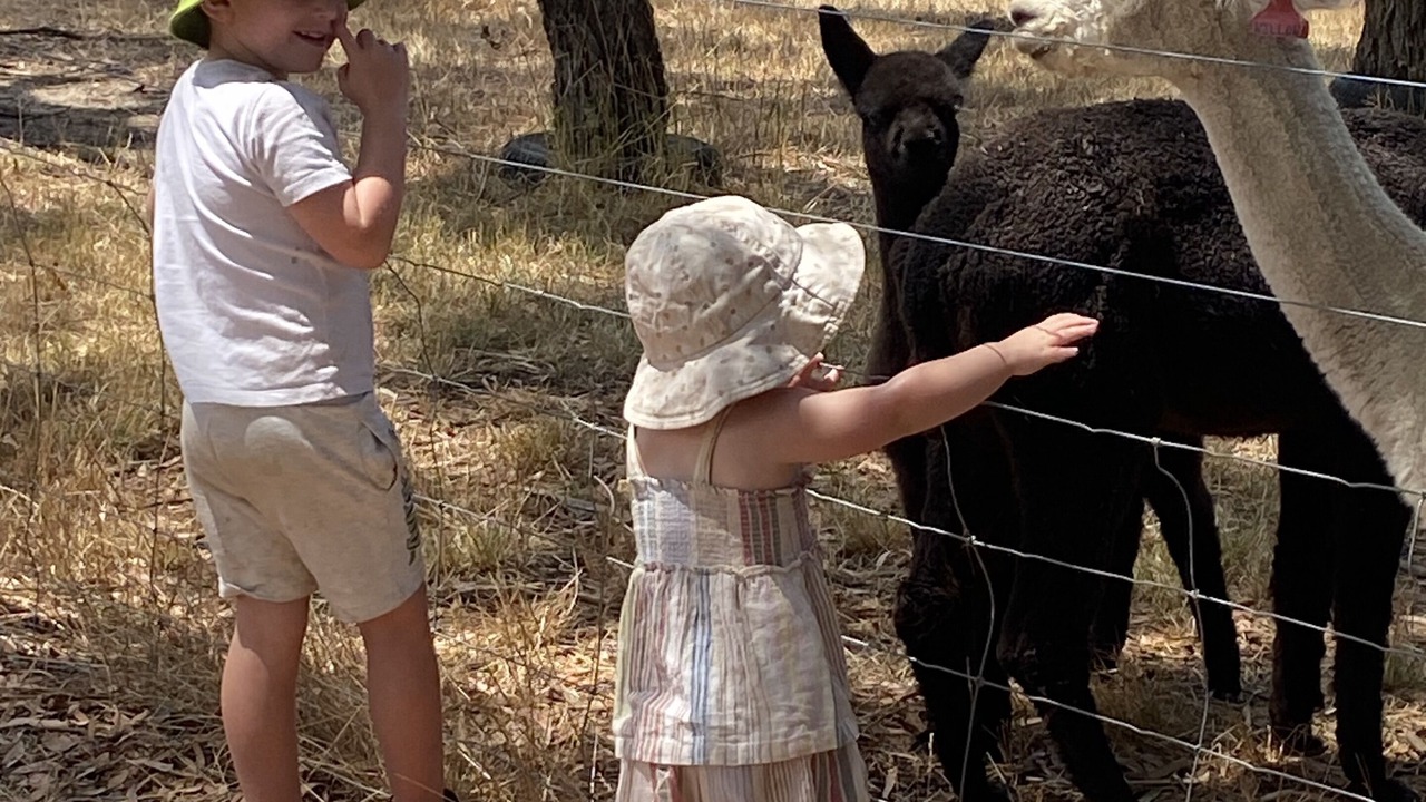Photo of Others in Cromer