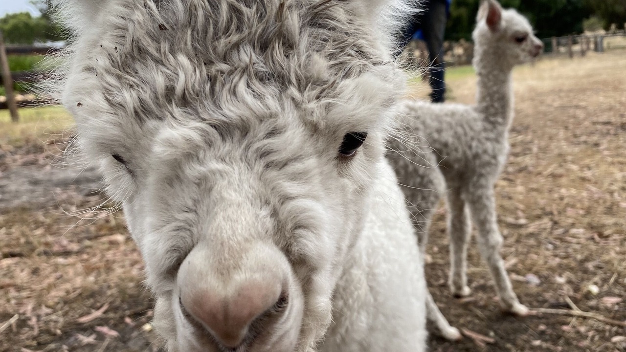 Photo of Others in Cromer