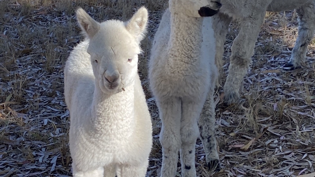 Photo of Others in Cromer