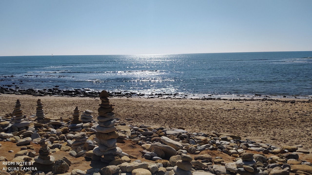 Photo of Others in Saint-Cyr-en-Talmondais
