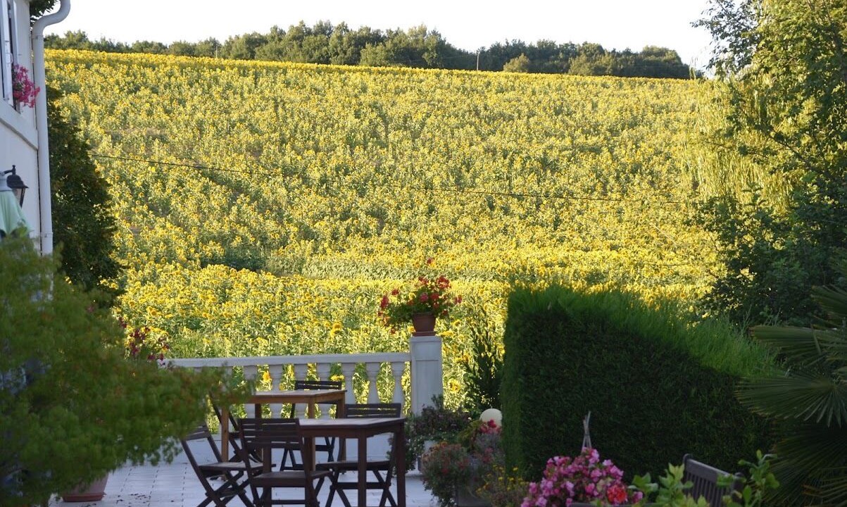 Photo of Outdoor in Saint-Hilaire-de-Villefranche