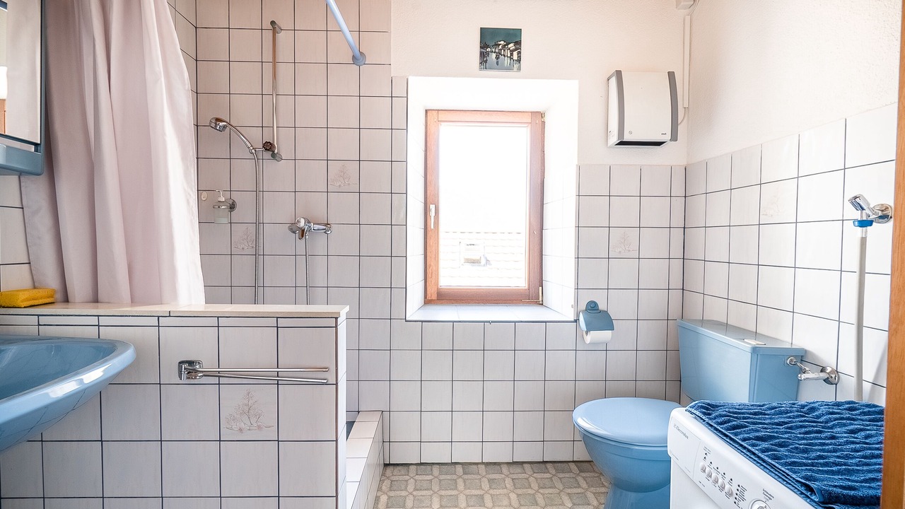 Photo of Bathroom in Giubiasco