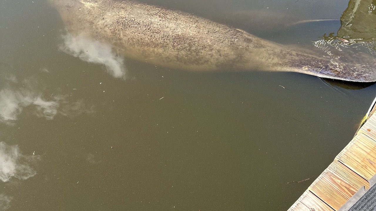 Photo of Others in Stuart