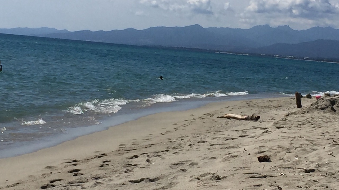 Photo of Others in Ghisonaccia