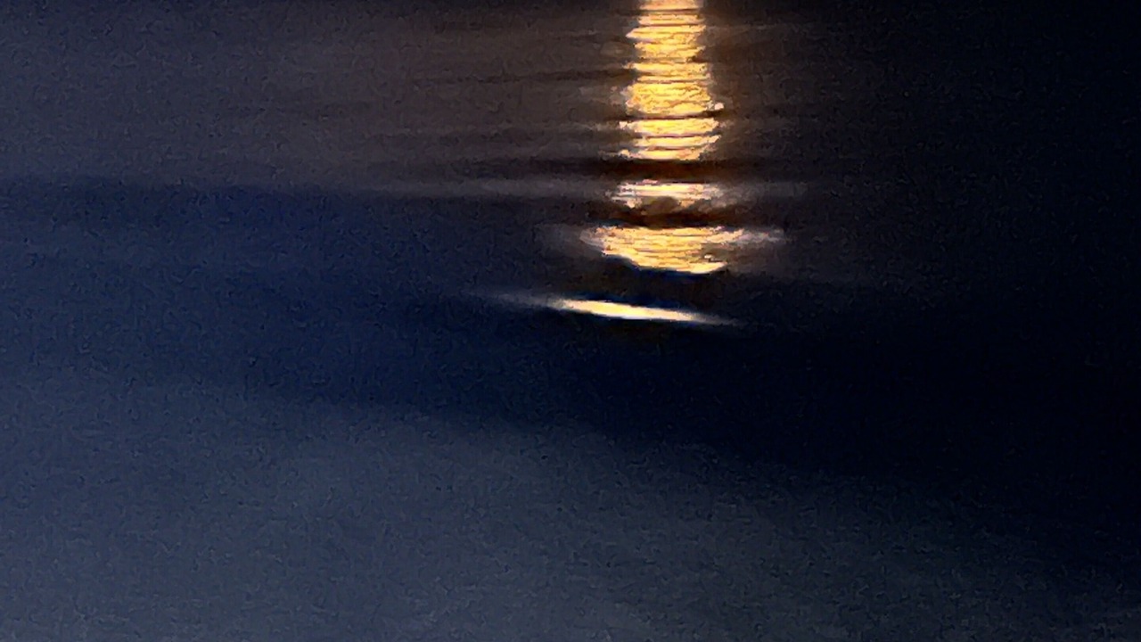 Photo of Others in Ghisonaccia