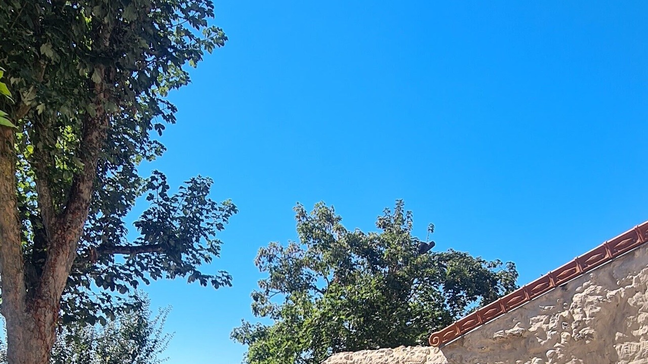 Photo of Outdoor in Besson