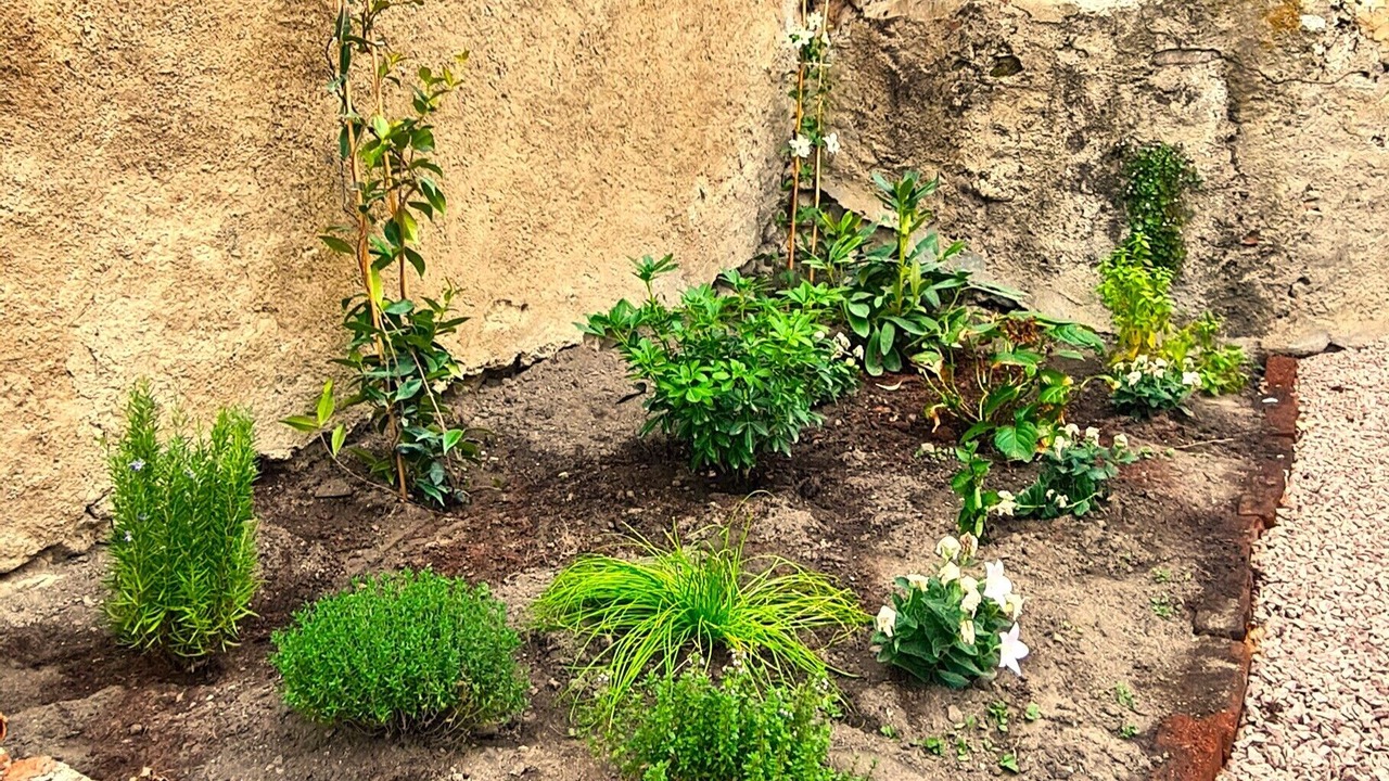 Photo of Outdoor in Besson