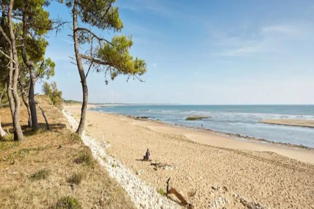 Photo of Others in Thorigne