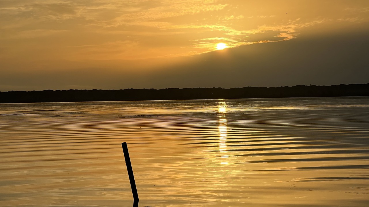 Photo of Others in Lake Panasoffkee