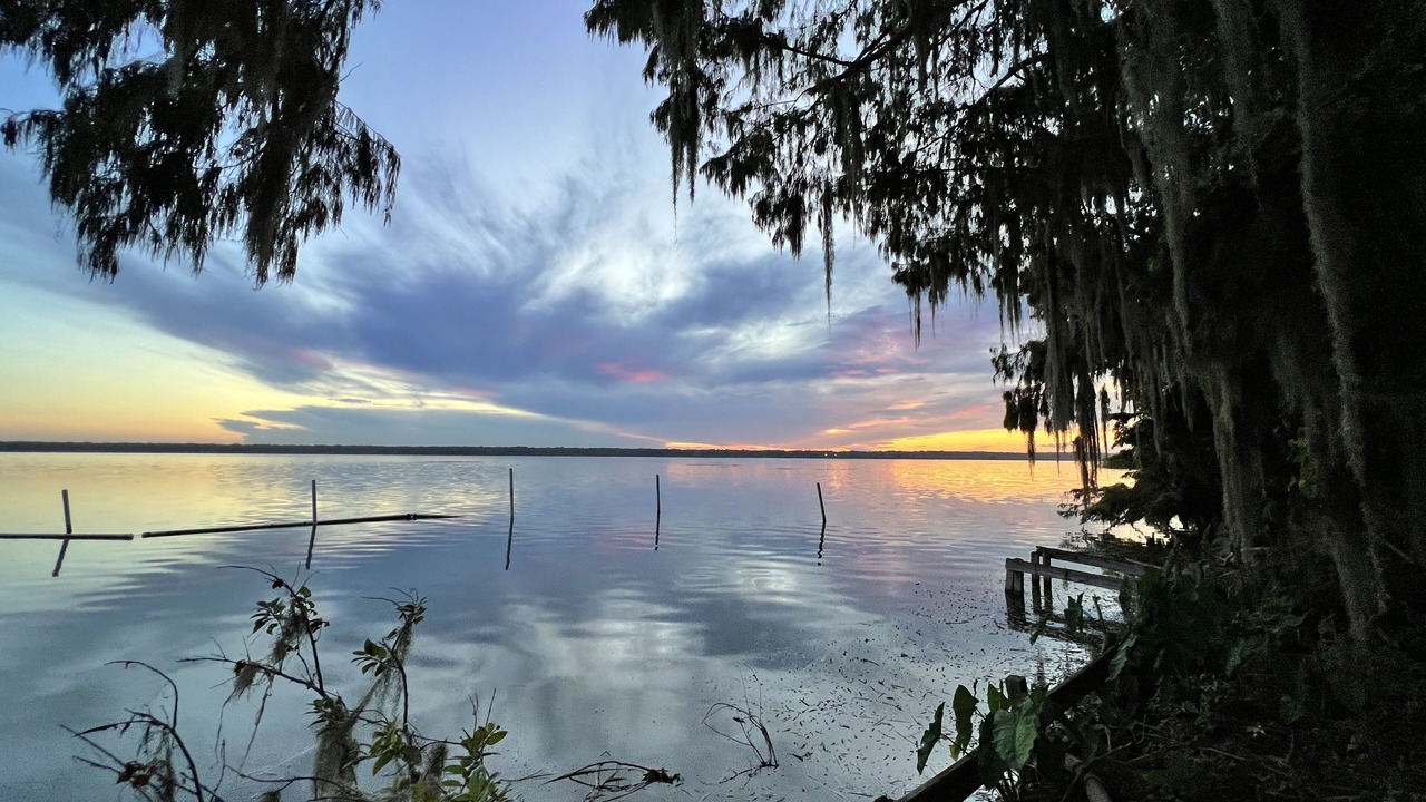 Photo of Others in Lake Panasoffkee