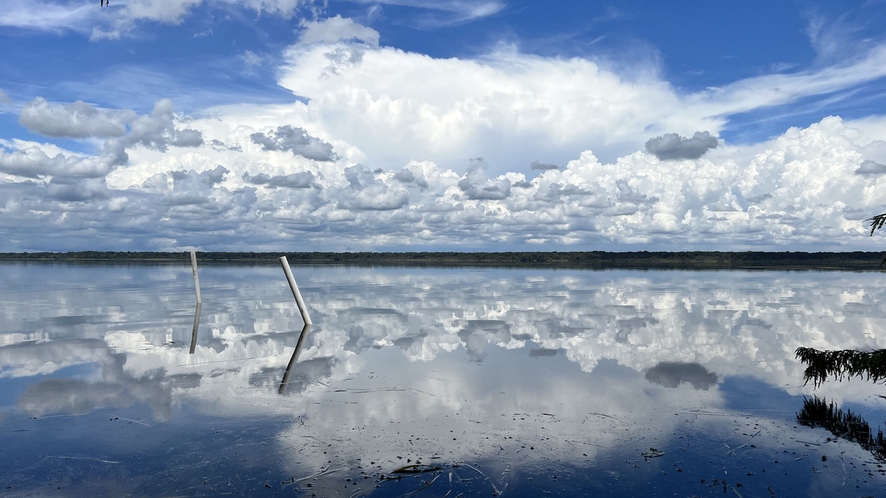 Photo of Outdoor in Lake Panasoffkee