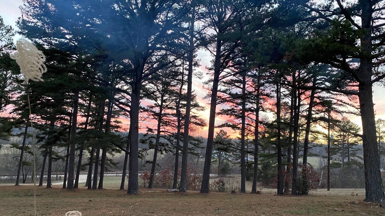 Photo of Outdoor in Potosi