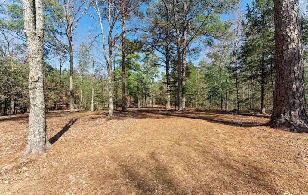 Photo of Outdoor in Ridge