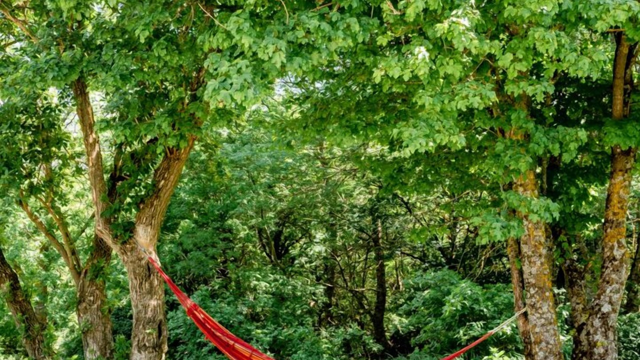 Photo of Outdoor in Teyssieres