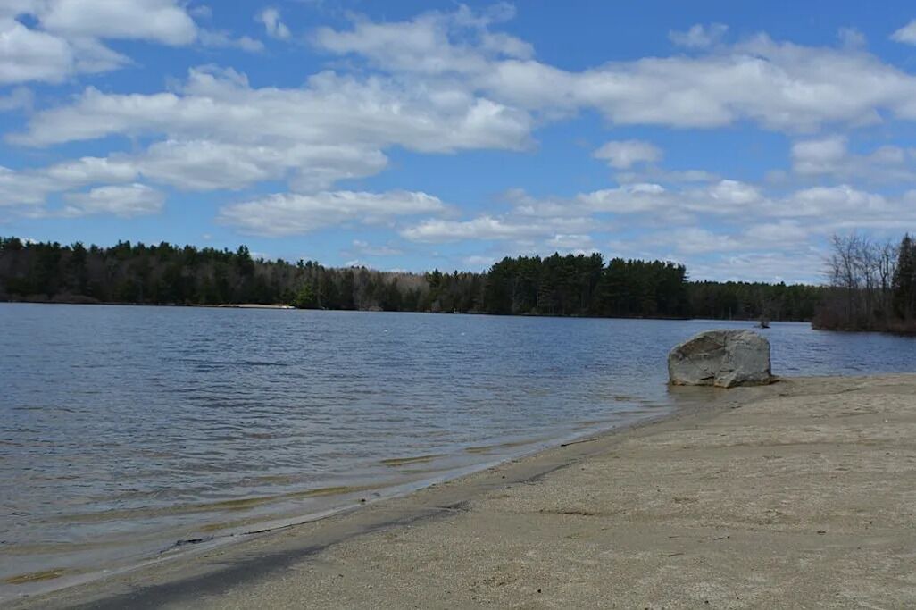 Photo of Others in Sherwood Forest