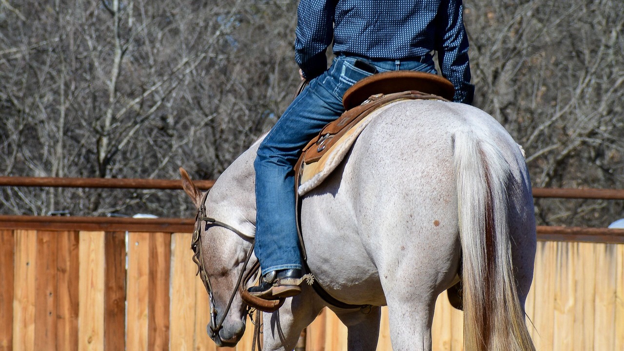 Photo of Outdoor in Boerne