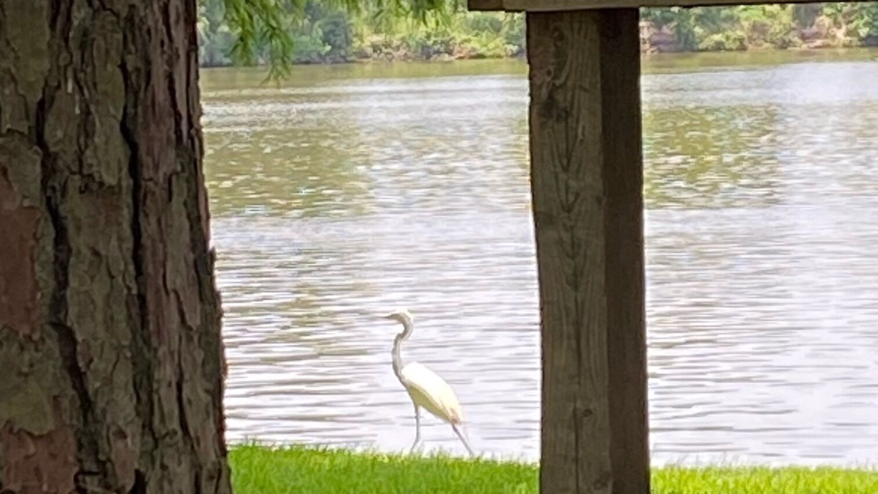Photo of Others in Lake Houston