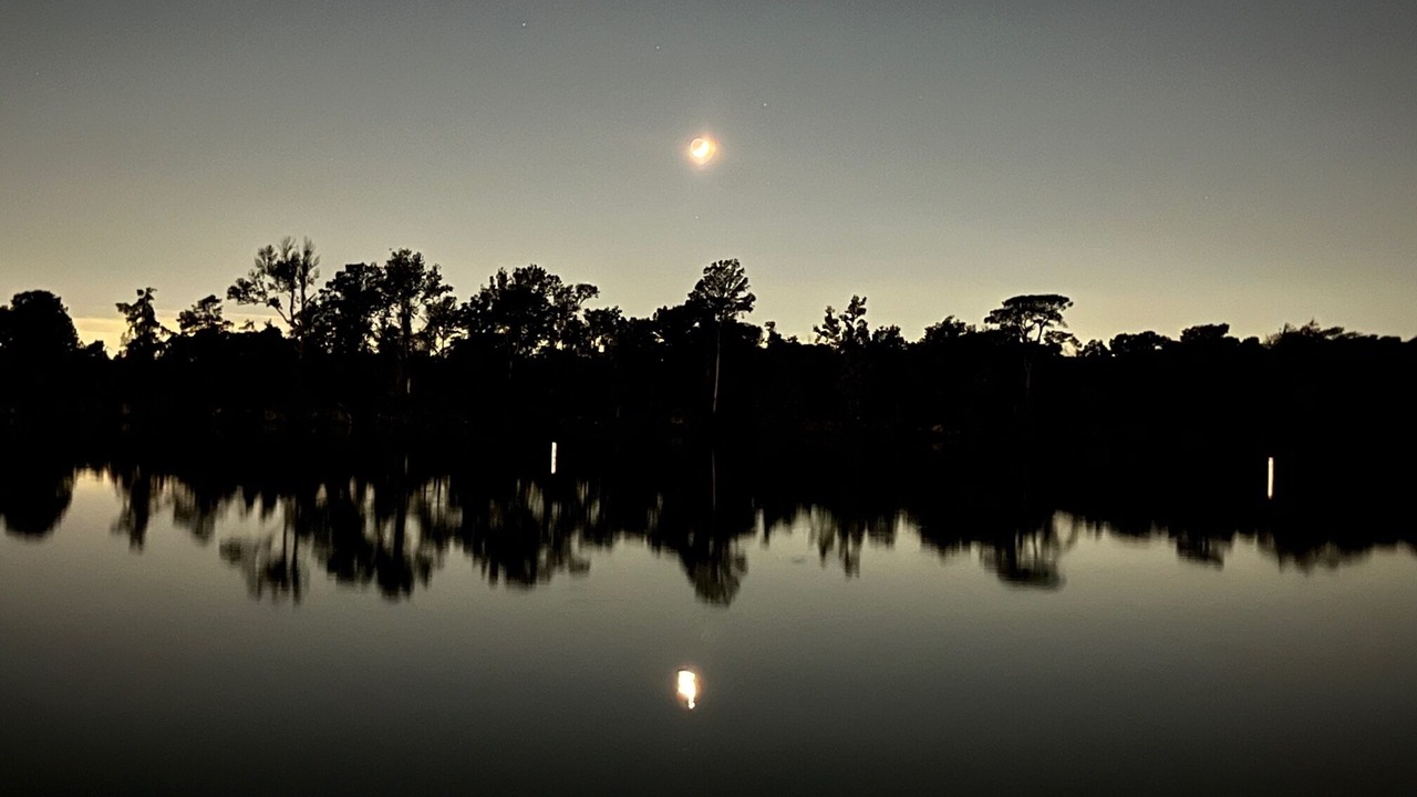 Photo of Outdoor in Lake Houston