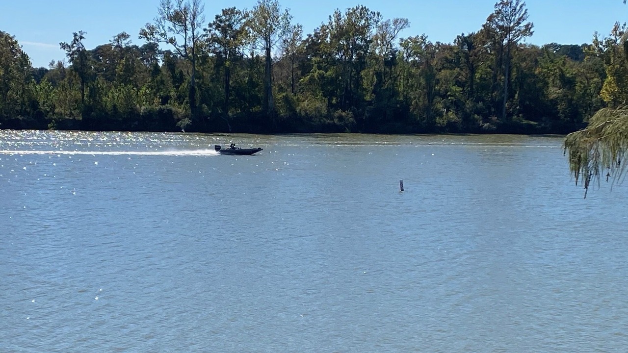 Photo of Outdoor in Lake Houston