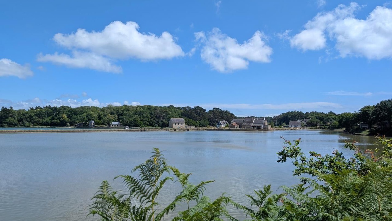 Photo of Others in Crach