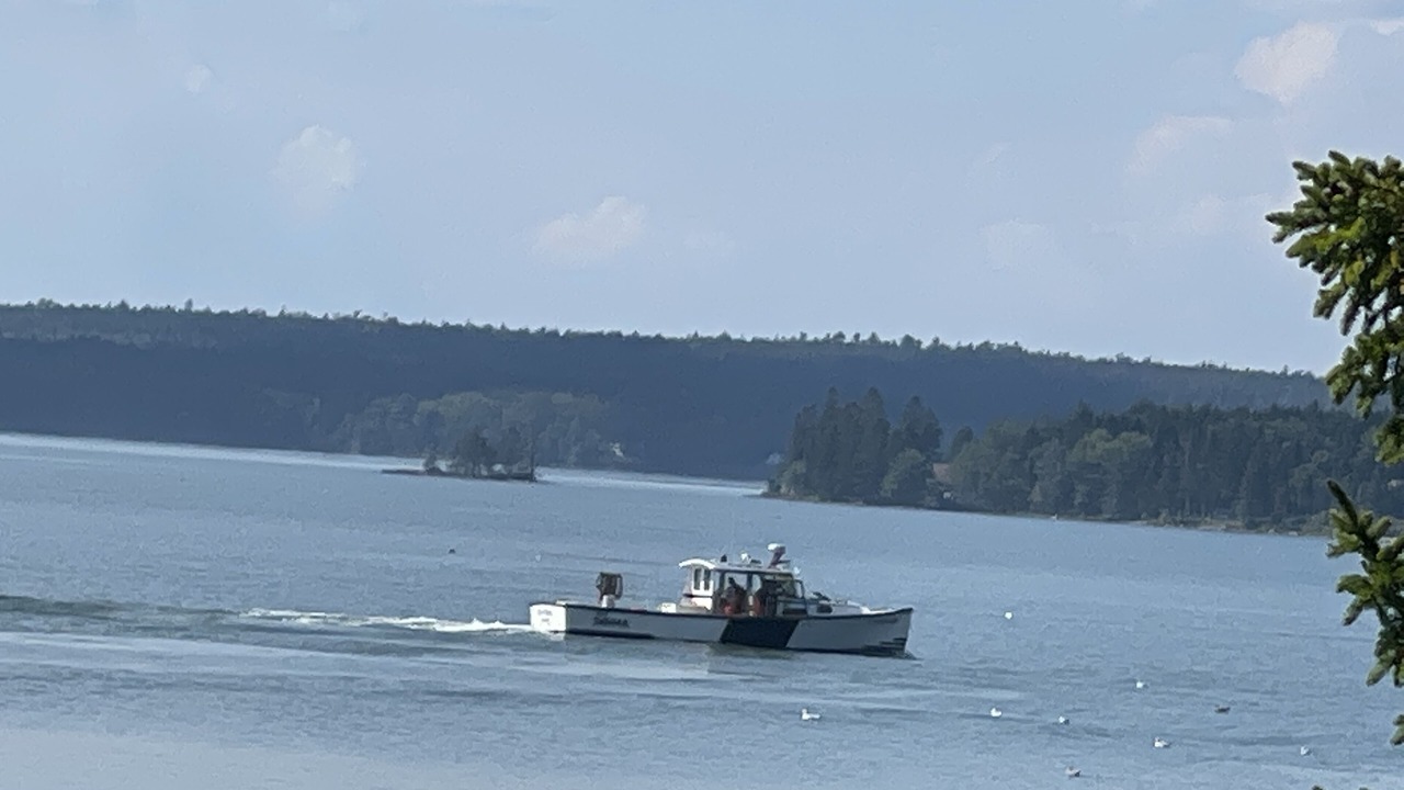 Photo of Others in Steuben