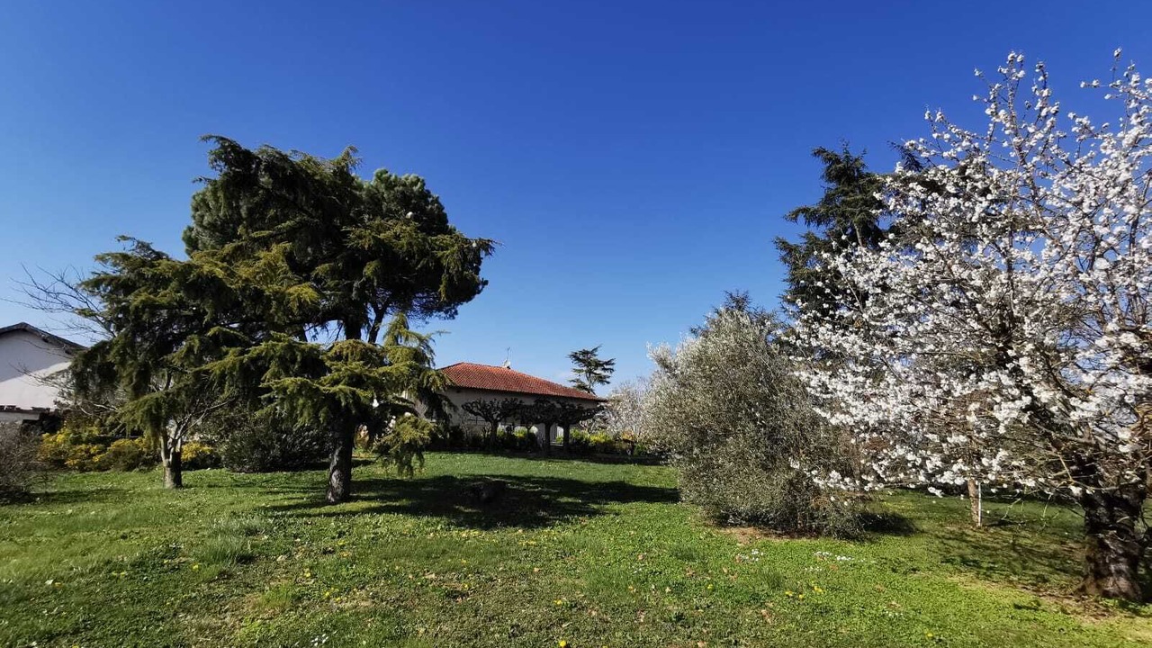 Photo of Outdoor in Gaillac