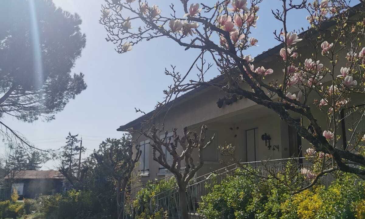 Photo of Outdoor in Gaillac