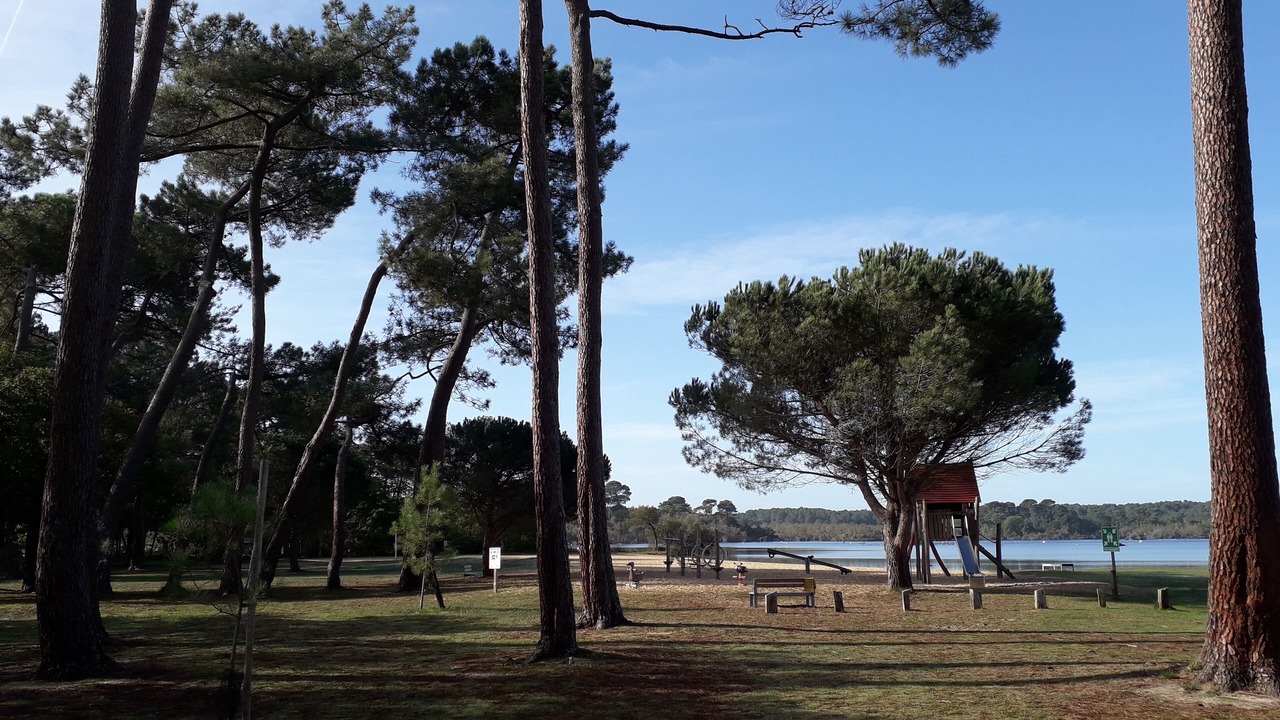 Photo of Others in Sainte-Eulalie-en-Born