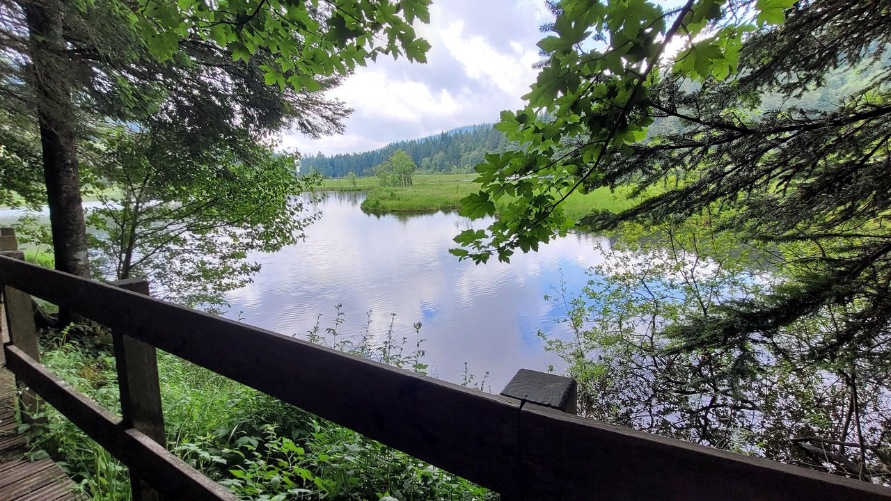 Photo of Outdoor in Bussang