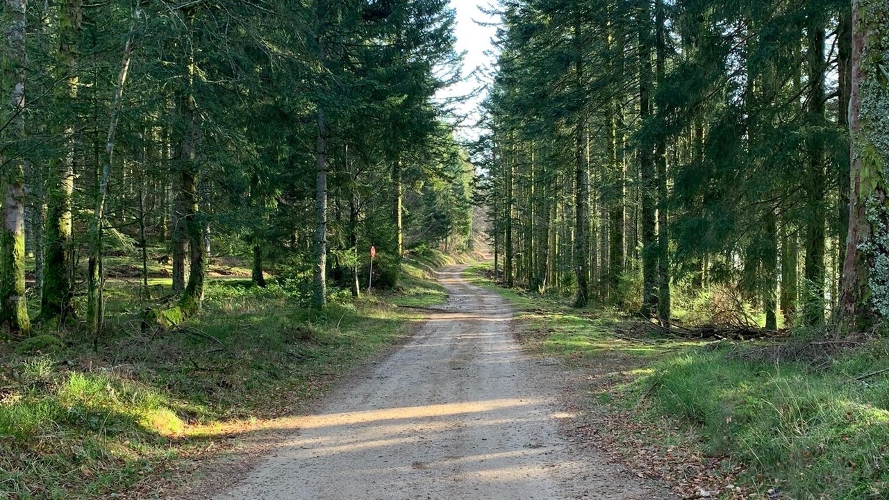 Photo of Outdoor in Bussang