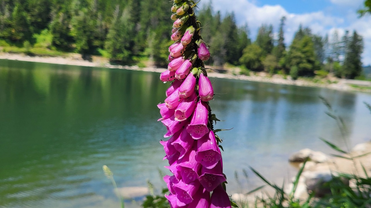 Photo of Outdoor in Bussang